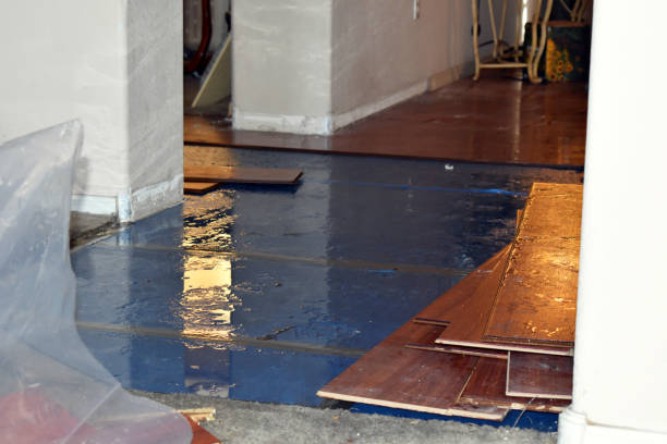 Professional Water Extraction technician working in Colton, OH